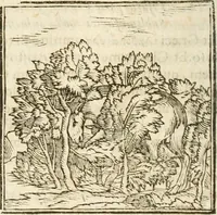 Picture 49 of 273 from Hieroglyphica, seu De sacris Aegyptiorum aliarumque gentium literis commentarii (1594), leaf 83