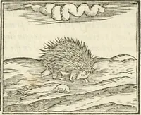 Picture 53 of 273 from Hieroglyphica, seu De sacris Aegyptiorum aliarumque gentium literis commentarii (1594), leaf 94