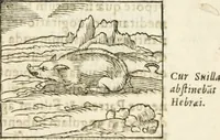 Picture 54 of 273 from Hieroglyphica, seu De sacris Aegyptiorum aliarumque gentium literis commentarii (1594), leaf 96