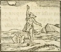 An illustration from Hieroglyphica, seu De sacris Aegyptiorum aliarumque gentium literis commentarii (1594)
