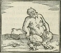 An illustration from Hieroglyphica, siue, De sacris Aegyptiorum literis commentarii, Ioannis Pierii Valeriani Bolzanii Bellunensis (1556)