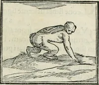An illustration from Hieroglyphica, siue, De sacris Aegyptiorum literis commentarii, Ioannis Pierii Valeriani Bolzanii Bellunensis (1556)