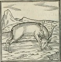 An illustration from Hieroglyphica, siue, De sacris Aegyptiorum literis commentarii, Ioannis Pierii Valeriani Bolzanii Bellunensis (1556)