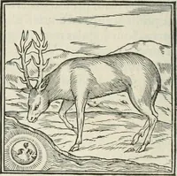 An illustration from Hieroglyphica, siue, De sacris Aegyptiorum literis commentarii, Ioannis Pierii Valeriani Bolzanii Bellunensis (1556)