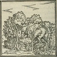 An illustration from Hieroglyphica, siue, De sacris Aegyptiorum literis commentarii, Ioannis Pierii Valeriani Bolzanii Bellunensis (1556)
