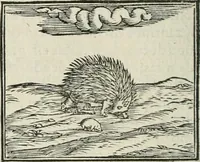 An illustration from Hieroglyphica, siue, De sacris Aegyptiorum literis commentarii, Ioannis Pierii Valeriani Bolzanii Bellunensis (1556)