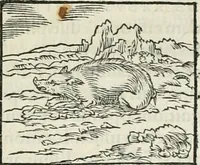 An illustration from Hieroglyphica, siue, De sacris Aegyptiorum literis commentarii, Ioannis Pierii Valeriani Bolzanii Bellunensis (1556)
