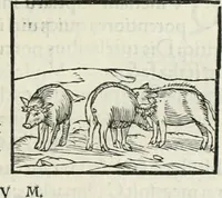An illustration from Hieroglyphica, siue, De sacris Aegyptiorum literis commentarii, Ioannis Pierii Valeriani Bolzanii Bellunensis (1556)
