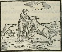An illustration from Hieroglyphica, siue, De sacris Aegyptiorum literis commentarii, Ioannis Pierii Valeriani Bolzanii Bellunensis (1556)