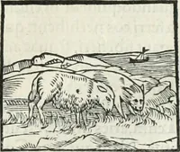 An illustration from Hieroglyphica, siue, De sacris Aegyptiorum literis commentarii, Ioannis Pierii Valeriani Bolzanii Bellunensis (1556)