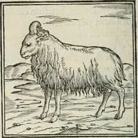 An illustration from Hieroglyphica, siue, De sacris Aegyptiorum literis commentarii, Ioannis Pierii Valeriani Bolzanii Bellunensis (1556)