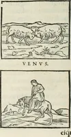 An illustration from Hieroglyphica, siue, De sacris Aegyptiorum literis commentarii, Ioannis Pierii Valeriani Bolzanii Bellunensis (1556)