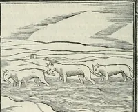 An illustration from Hieroglyphica, siue, De sacris Aegyptiorum literis commentarii, Ioannis Pierii Valeriani Bolzanii Bellunensis (1556)