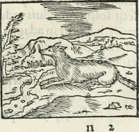 An illustration from Hieroglyphica, siue, De sacris Aegyptiorum literis commentarii, Ioannis Pierii Valeriani Bolzanii Bellunensis (1556)