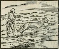 An illustration from Hieroglyphica, siue, De sacris Aegyptiorum literis commentarii, Ioannis Pierii Valeriani Bolzanii Bellunensis (1556)