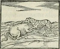 An illustration from Hieroglyphica, siue, De sacris Aegyptiorum literis commentarii, Ioannis Pierii Valeriani Bolzanii Bellunensis (1556)