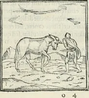 An illustration from Hieroglyphica, siue, De sacris Aegyptiorum literis commentarii, Ioannis Pierii Valeriani Bolzanii Bellunensis (1556)