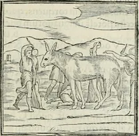 An illustration from Hieroglyphica, siue, De sacris Aegyptiorum literis commentarii, Ioannis Pierii Valeriani Bolzanii Bellunensis (1556)