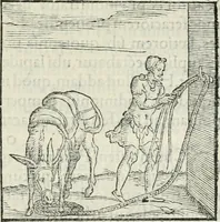 An illustration from Hieroglyphica, siue, De sacris Aegyptiorum literis commentarii, Ioannis Pierii Valeriani Bolzanii Bellunensis (1556)