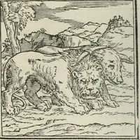 An illustration from Hieroglyphica, siue, De sacris Aegyptiorum literis commentarii, Ioannis Pierii Valeriani Bolzanii Bellunensis (1556)