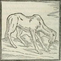 An illustration from Hieroglyphica, siue, De sacris Aegyptiorum literis commentarii, Ioannis Pierii Valeriani Bolzanii Bellunensis (1556)