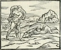 An illustration from Hieroglyphica, siue, De sacris Aegyptiorum literis commentarii, Ioannis Pierii Valeriani Bolzanii Bellunensis (1556)