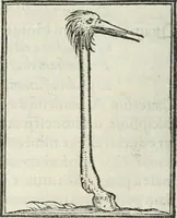 An illustration from Hieroglyphica, siue, De sacris Aegyptiorum literis commentarii, Ioannis Pierii Valeriani Bolzanii Bellunensis (1556)