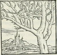 An illustration from Hieroglyphica, siue, De sacris Aegyptiorum literis commentarii, Ioannis Pierii Valeriani Bolzanii Bellunensis (1556)