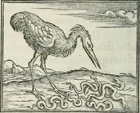 An illustration from Hieroglyphica, siue, De sacris Aegyptiorum literis commentarii, Ioannis Pierii Valeriani Bolzanii Bellunensis (1556)