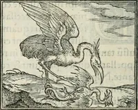An illustration from Hieroglyphica, siue, De sacris Aegyptiorum literis commentarii, Ioannis Pierii Valeriani Bolzanii Bellunensis (1556)