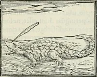 An illustration from Hieroglyphica, siue, De sacris Aegyptiorum literis commentarii, Ioannis Pierii Valeriani Bolzanii Bellunensis (1556)