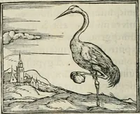 An illustration from Hieroglyphica, siue, De sacris Aegyptiorum literis commentarii, Ioannis Pierii Valeriani Bolzanii Bellunensis (1556)