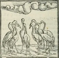 An illustration from Hieroglyphica, siue, De sacris Aegyptiorum literis commentarii, Ioannis Pierii Valeriani Bolzanii Bellunensis (1556)