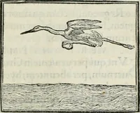An illustration from Hieroglyphica, siue, De sacris Aegyptiorum literis commentarii, Ioannis Pierii Valeriani Bolzanii Bellunensis (1556)