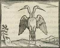 An illustration from Hieroglyphica, siue, De sacris Aegyptiorum literis commentarii, Ioannis Pierii Valeriani Bolzanii Bellunensis (1556)