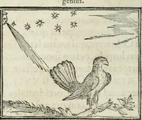 An illustration from Hieroglyphica, siue, De sacris Aegyptiorum literis commentarii, Ioannis Pierii Valeriani Bolzanii Bellunensis (1556)