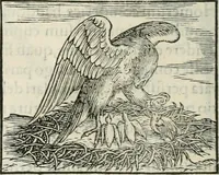 An illustration from Hieroglyphica, siue, De sacris Aegyptiorum literis commentarii, Ioannis Pierii Valeriani Bolzanii Bellunensis (1556)