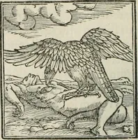 An illustration from Hieroglyphica, siue, De sacris Aegyptiorum literis commentarii, Ioannis Pierii Valeriani Bolzanii Bellunensis (1556)