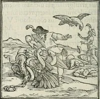 An illustration from Hieroglyphica, siue, De sacris Aegyptiorum literis commentarii, Ioannis Pierii Valeriani Bolzanii Bellunensis (1556)