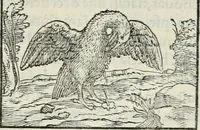 An illustration from Hieroglyphica, siue, De sacris Aegyptiorum literis commentarii, Ioannis Pierii Valeriani Bolzanii Bellunensis (1556)