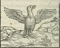 An illustration from Hieroglyphica, siue, De sacris Aegyptiorum literis commentarii, Ioannis Pierii Valeriani Bolzanii Bellunensis (1556)