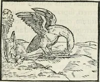 An illustration from Hieroglyphica, siue, De sacris Aegyptiorum literis commentarii, Ioannis Pierii Valeriani Bolzanii Bellunensis (1556)