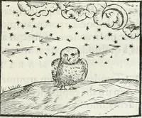 An illustration from Hieroglyphica, siue, De sacris Aegyptiorum literis commentarii, Ioannis Pierii Valeriani Bolzanii Bellunensis (1556)