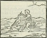 An illustration from Hieroglyphica, siue, De sacris Aegyptiorum literis commentarii, Ioannis Pierii Valeriani Bolzanii Bellunensis (1556)