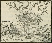 An illustration from Hieroglyphica, siue, De sacris Aegyptiorum literis commentarii, Ioannis Pierii Valeriani Bolzanii Bellunensis (1556)