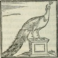 An illustration from Hieroglyphica, siue, De sacris Aegyptiorum literis commentarii, Ioannis Pierii Valeriani Bolzanii Bellunensis (1556)