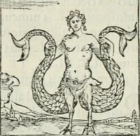 An illustration from Hieroglyphica, siue, De sacris Aegyptiorum literis commentarii, Ioannis Pierii Valeriani Bolzanii Bellunensis (1556)