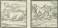 An illustration from Hieroglyphica, siue, De sacris Aegyptiorum literis commentarii, Ioannis Pierii Valeriani Bolzanii Bellunensis (1556)