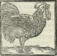 An illustration from Hieroglyphica, siue, De sacris Aegyptiorum literis commentarii, Ioannis Pierii Valeriani Bolzanii Bellunensis (1556)