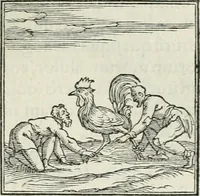 An illustration from Hieroglyphica, siue, De sacris Aegyptiorum literis commentarii, Ioannis Pierii Valeriani Bolzanii Bellunensis (1556)